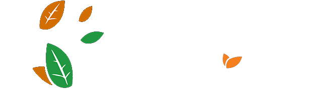 logo2